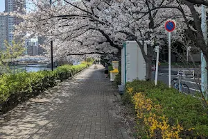 Shinkawa Park (Sumidagawa Terrace) image