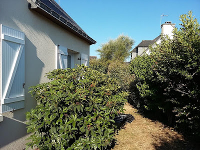 www.locationsarzeau.fr à Sarzeau