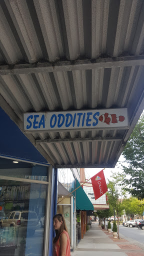 Aquarium «Sea Oddities», reviews and photos, 128 Broad St, Kingsport, TN 37660, USA