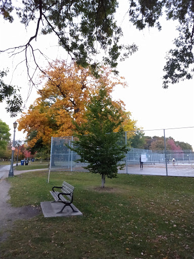 Trinity Bellwoods Park Tennis Courts