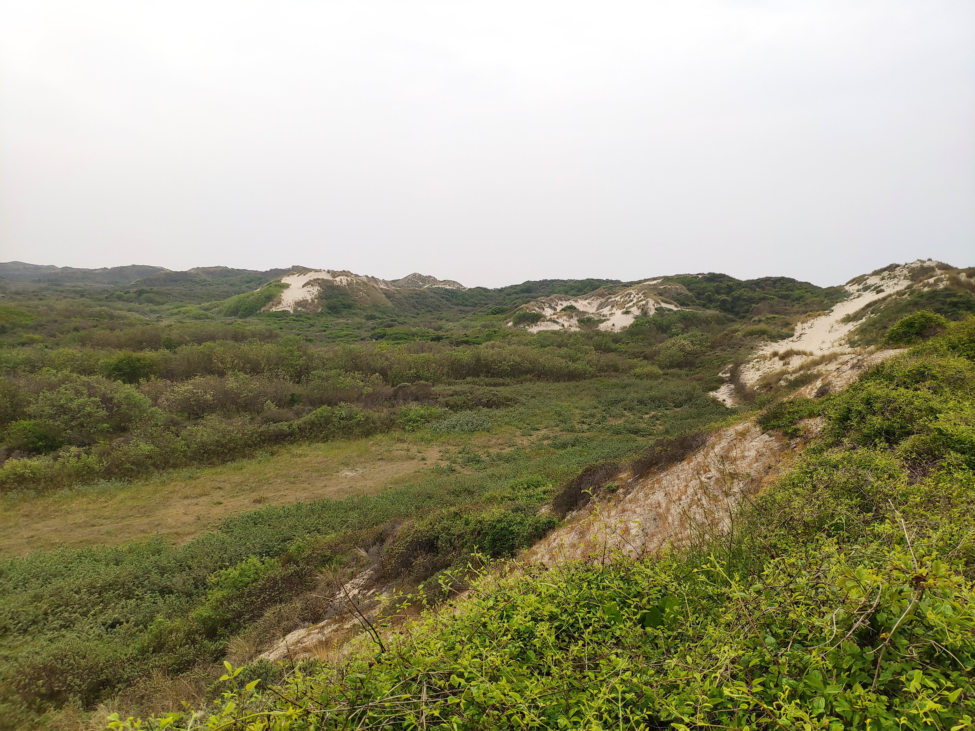 Photo n° 5 de l'avis de Denis.g fait le 18/05/2019 à 15:59