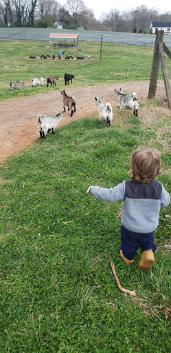 Farm «Warbington Farms (U-Pick Strawberries)», reviews and photos, 5555 Crow Rd, Cumming, GA 30041, USA