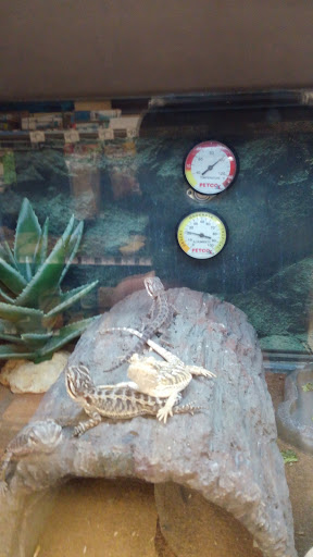 Pet Supply Store «Petco Animal Supplies», reviews and photos, 9603 North Sam Houston Pkwy E, Humble, TX 77396, USA