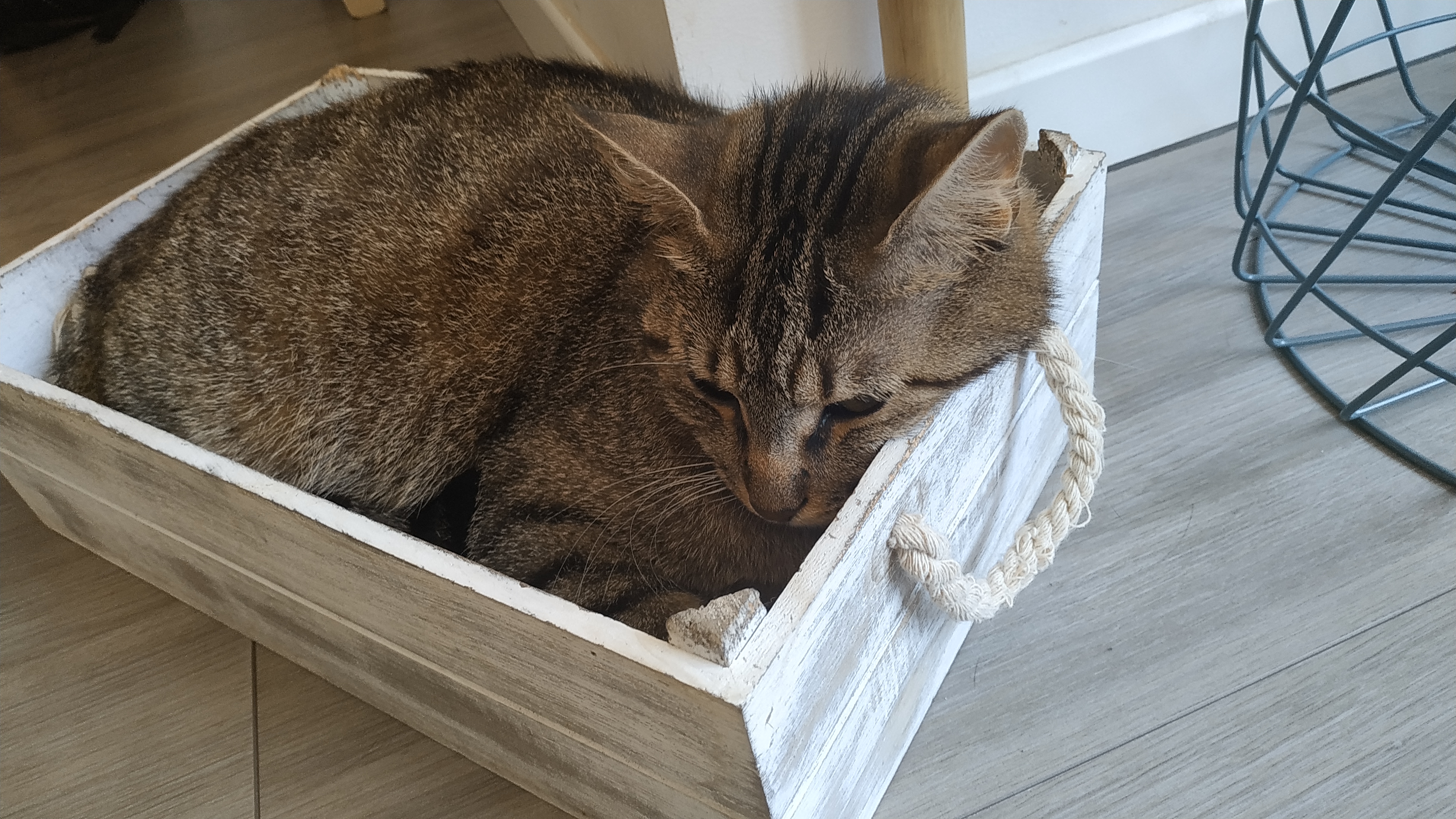 Photo n° 1 de l'avis de Charles.u fait le 22/06/2019 à 20:22