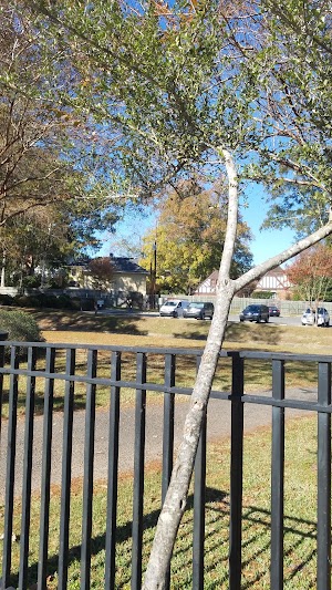 Betty Virginia Park - photo 26