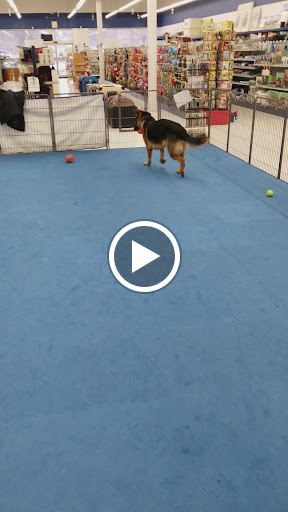 Pet Supply Store «Choice Pet - OUTLET STORE», reviews and photos, 63 Washington Ave, North Haven, CT 06473, USA