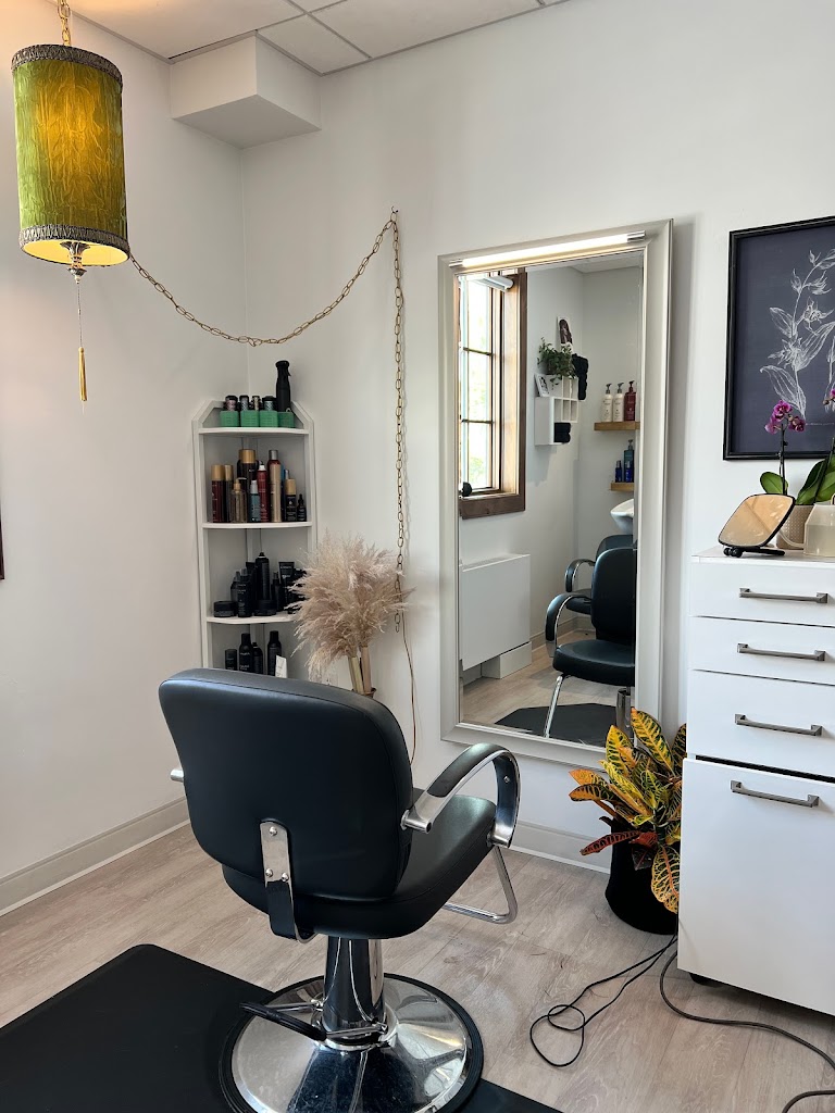 Stylistic Hair Design 59715