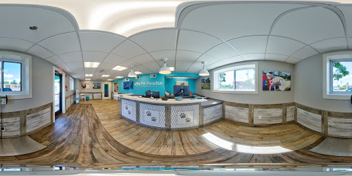 Kennel «Pampered Pets», reviews and photos, 601 Concord Ave, Charlottesville, VA 22903, USA