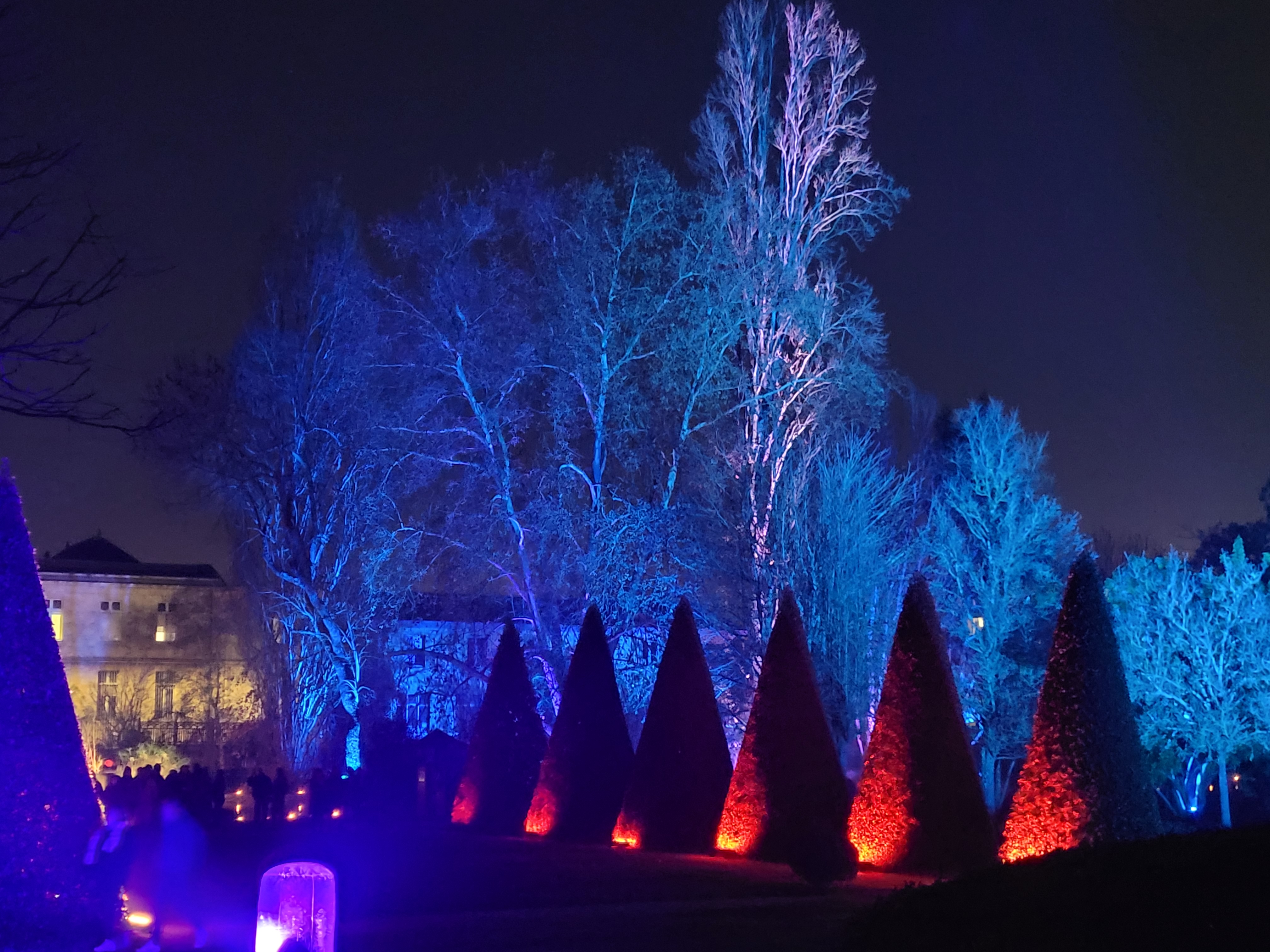 Photo n° 4 de l'avis de Denis.o fait le 18/12/2021 à 19:38