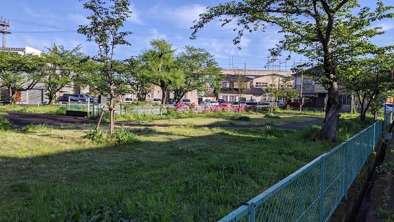 神宮寺桜児童公園