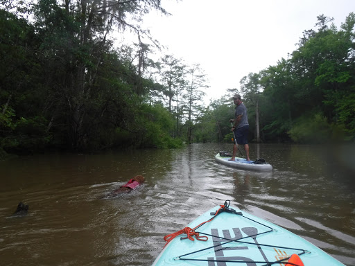 Surf Shop «BOTE Retail Store - Destin, FL», reviews and photos, 383 Harbor Blvd, Destin, FL 32541, USA