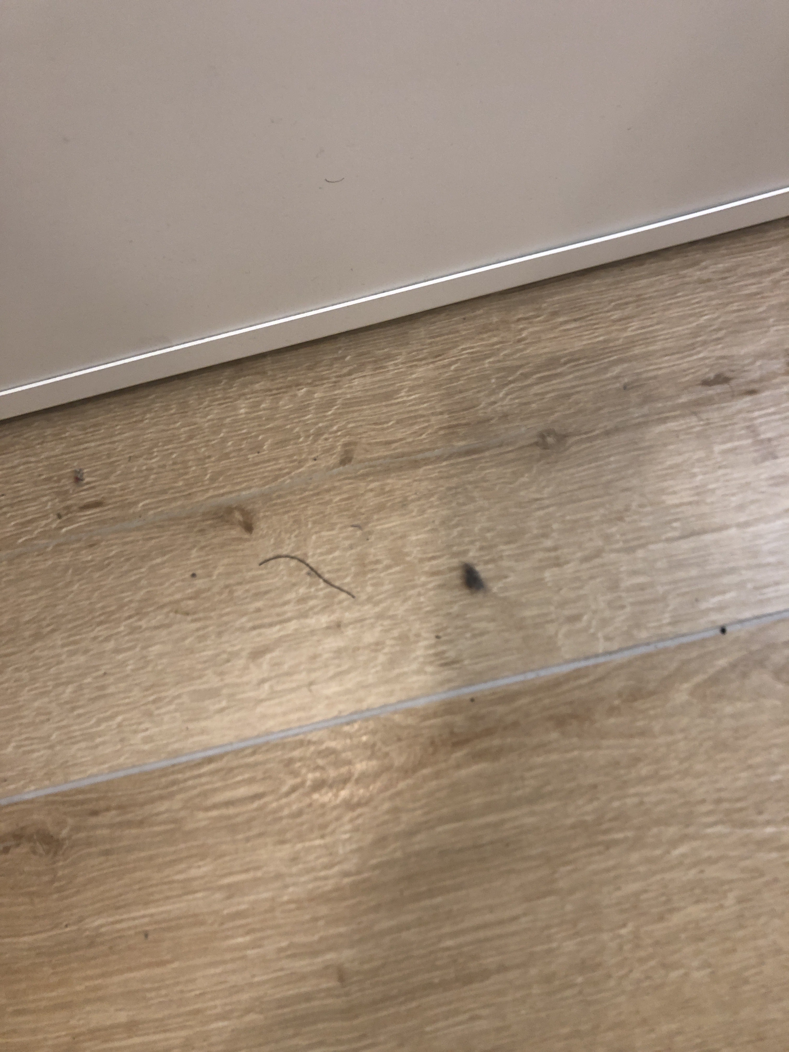 Photo n° 1 de l'avis de Motaiboss.i fait le 01/12/2019 à 10:56