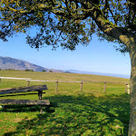 Photo n°1 de l'avis de Annalisa.a fait le 14/10/2023 à 06:42 sur le  Il Grillo Parlante à Cagli