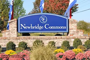 Newbridge Commons image