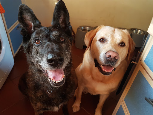 Kleintierpraxis Bargteheide Dr. med. vet. Almuth Schwarzenberg / Birte Kellermann-Reschke unter Bargteheide, Schleswig-Holstein