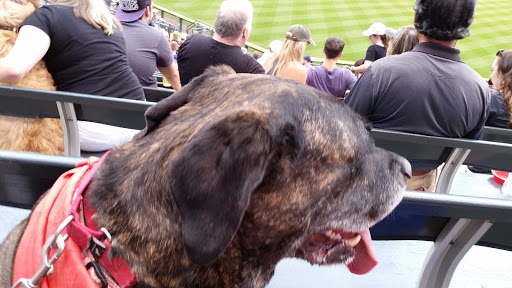 Stadium «Coors Field», reviews and photos, 2001 Blake St, Denver, CO 80205, USA