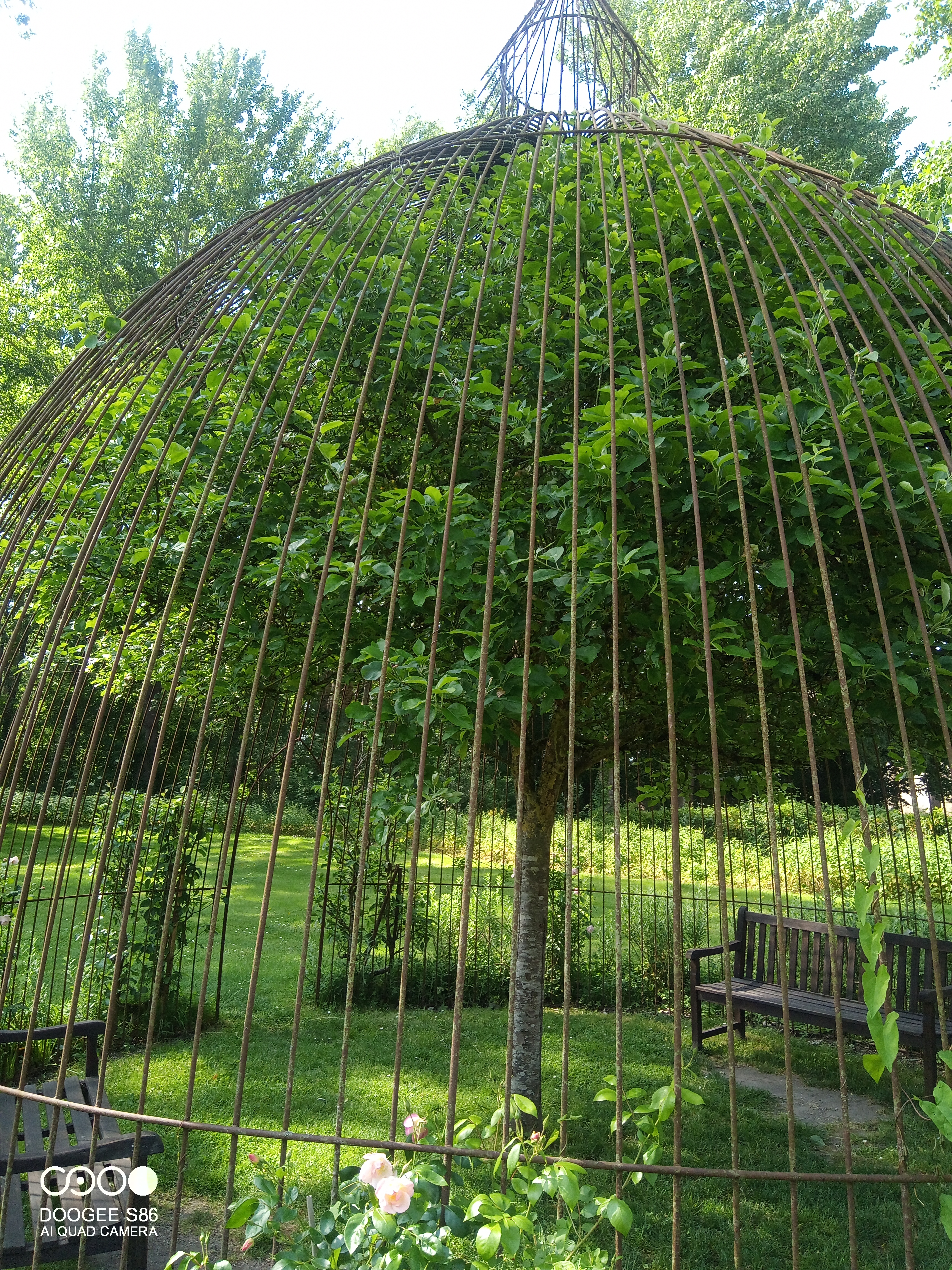 Photo n° 4 de l'avis de Pierre.r fait le 01/07/2023 à 18:17