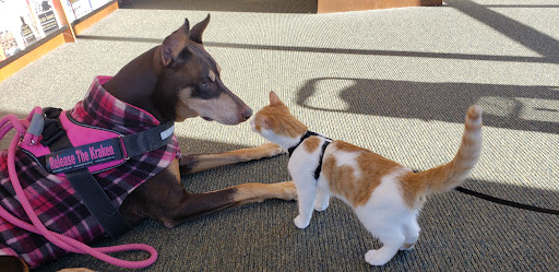 Book Store «Barnes & Noble Oxford Valley», reviews and photos, 210 Commerce Blvd, Fairless Hills, PA 19030, USA