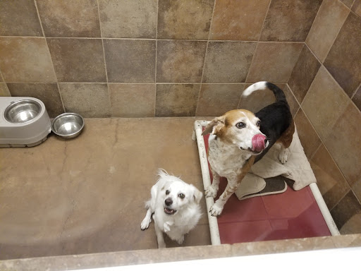 PetsHotel Tucson (Broadway)
