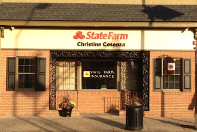 Christine Cosenza - State Farm Insurance Agent