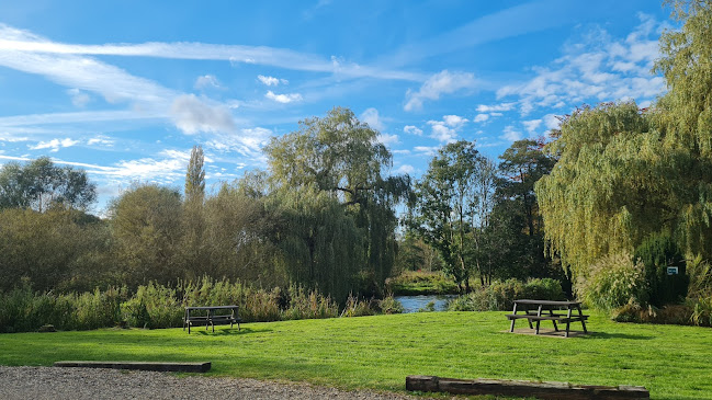 Comments and reviews of Taverham Mills Fishery