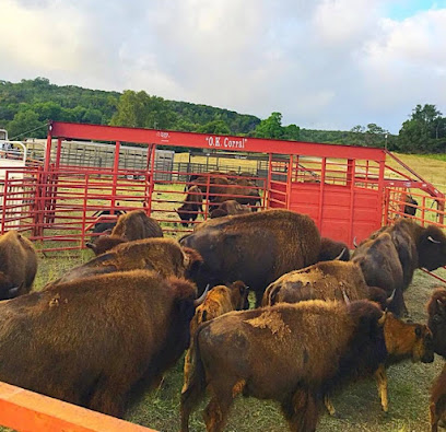 Morgan Livestock Equipment- Fredericksburg, Texas