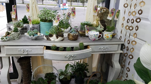 Florist «A Special Rose Florist», reviews and photos, 14546 Bruce B Downs Blvd, Tampa, FL 33613, USA