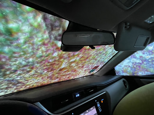 Car Wash «Zips Car Wash», reviews and photos, 4831 Poplar Ave, Memphis, TN 38117, USA