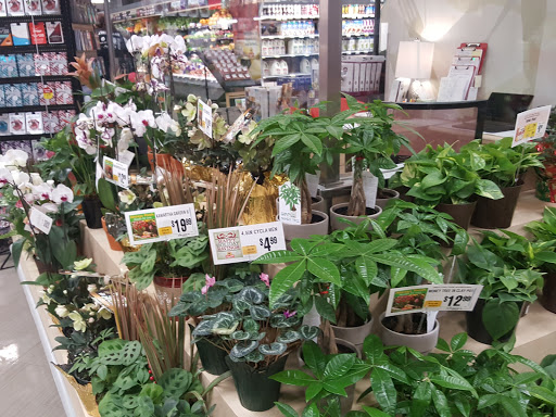 Grocery Store «ShopRite of Bethlehem», reviews and photos, 4701 Freemansburg Ave, Bethlehem, PA 18020, USA