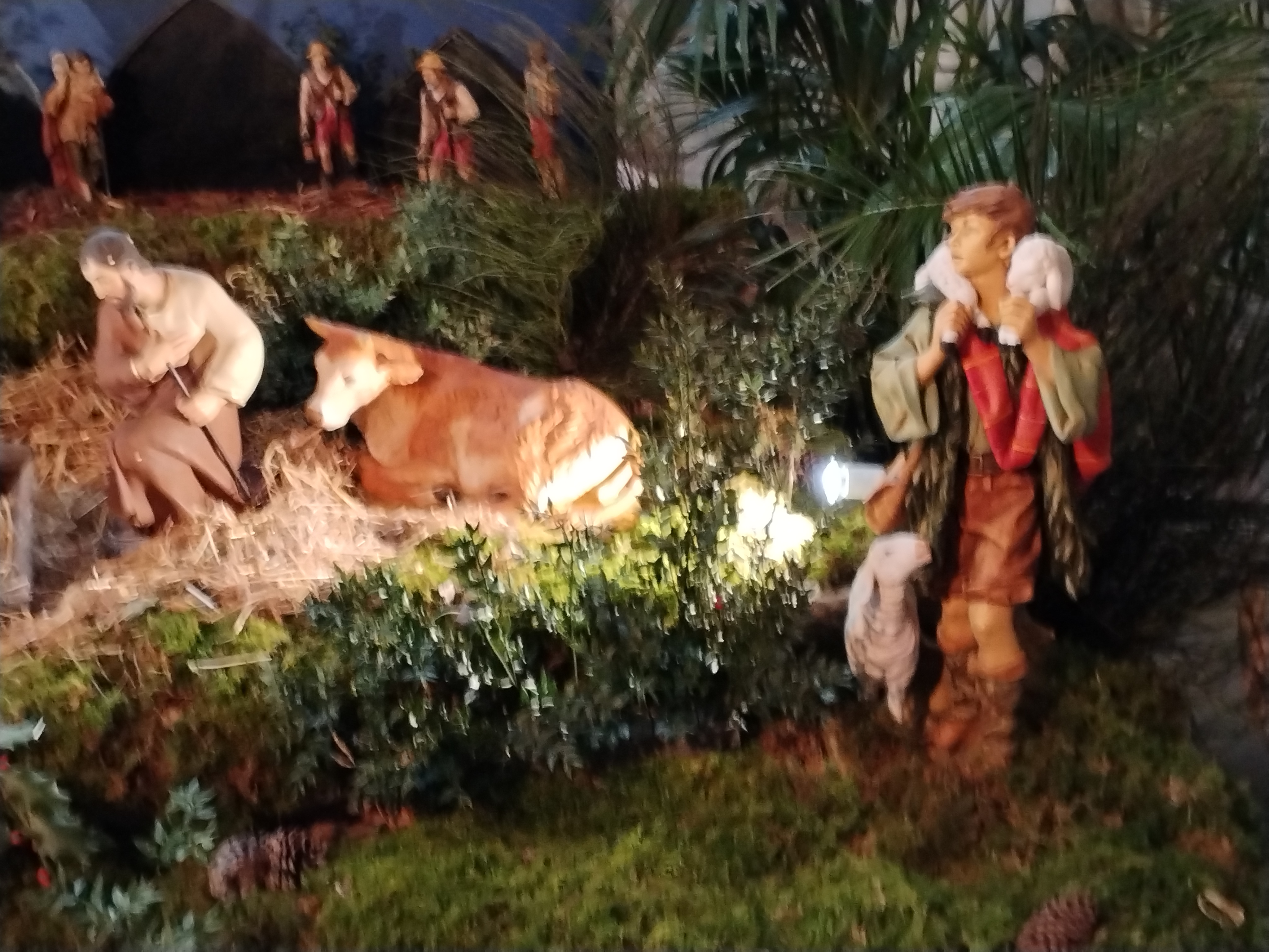 Photo n° 1 de l'avis de Lucienne.a fait le 04/01/2024 à 09:13