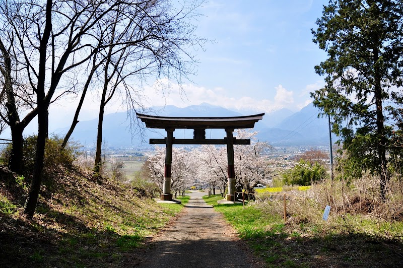 鵜山の桜並木