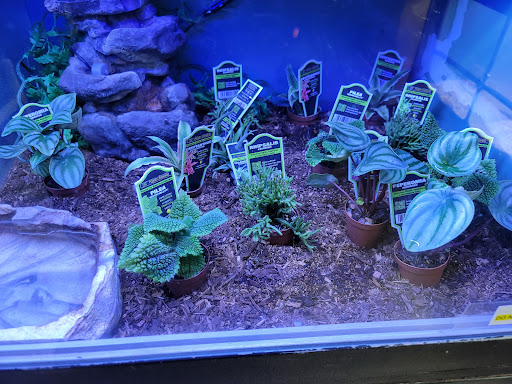 Pet Store «Southside Aquatics», reviews and photos, 2039 Pleasanton Rd, San Antonio, TX 78221, USA