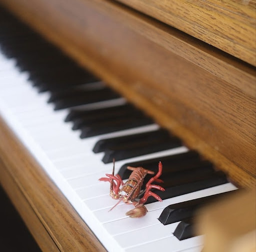 Fine Dining Restaurant «BrewRiver GastroPub», reviews and photos, 2062 Riverside Dr, Cincinnati, OH 45202, USA