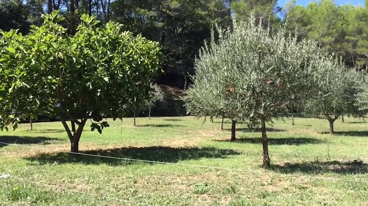 Vidéos Chambre d'hôtes Cabane des K'Hauts Pins:Week-end hébergement insolite avec piscine proche Sainte croix en Provence 83670 Barjols