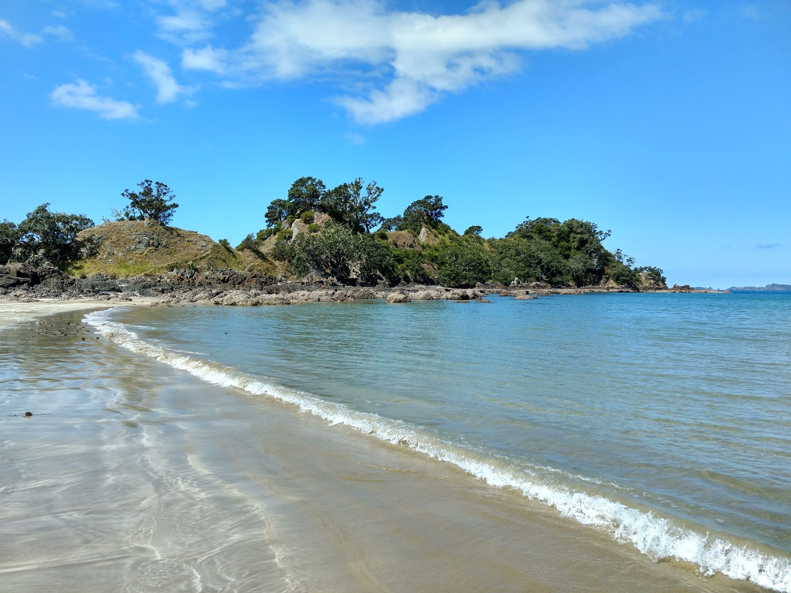 Φωτογραφία του Whangaruru Beach με μακρύς κόλπος