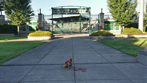 Stadium «Hayward Field», reviews and photos, 1580 E 15th Ave, Eugene, OR 97403, USA