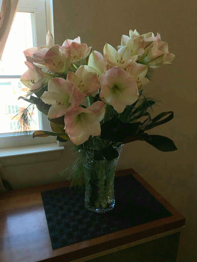 Florist «Art of Flowers», reviews and photos, 1045 Brighton Beach Ave, Brooklyn, NY 11235, USA