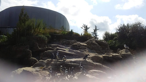 Aquarium «New York Aquarium», reviews and photos, 602 Surf Ave, Brooklyn, NY 11224, USA