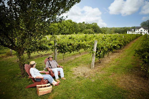 Vineyard «Miranda Vineyard», reviews and photos, 42 Ives Rd, Goshen, CT 06756, USA