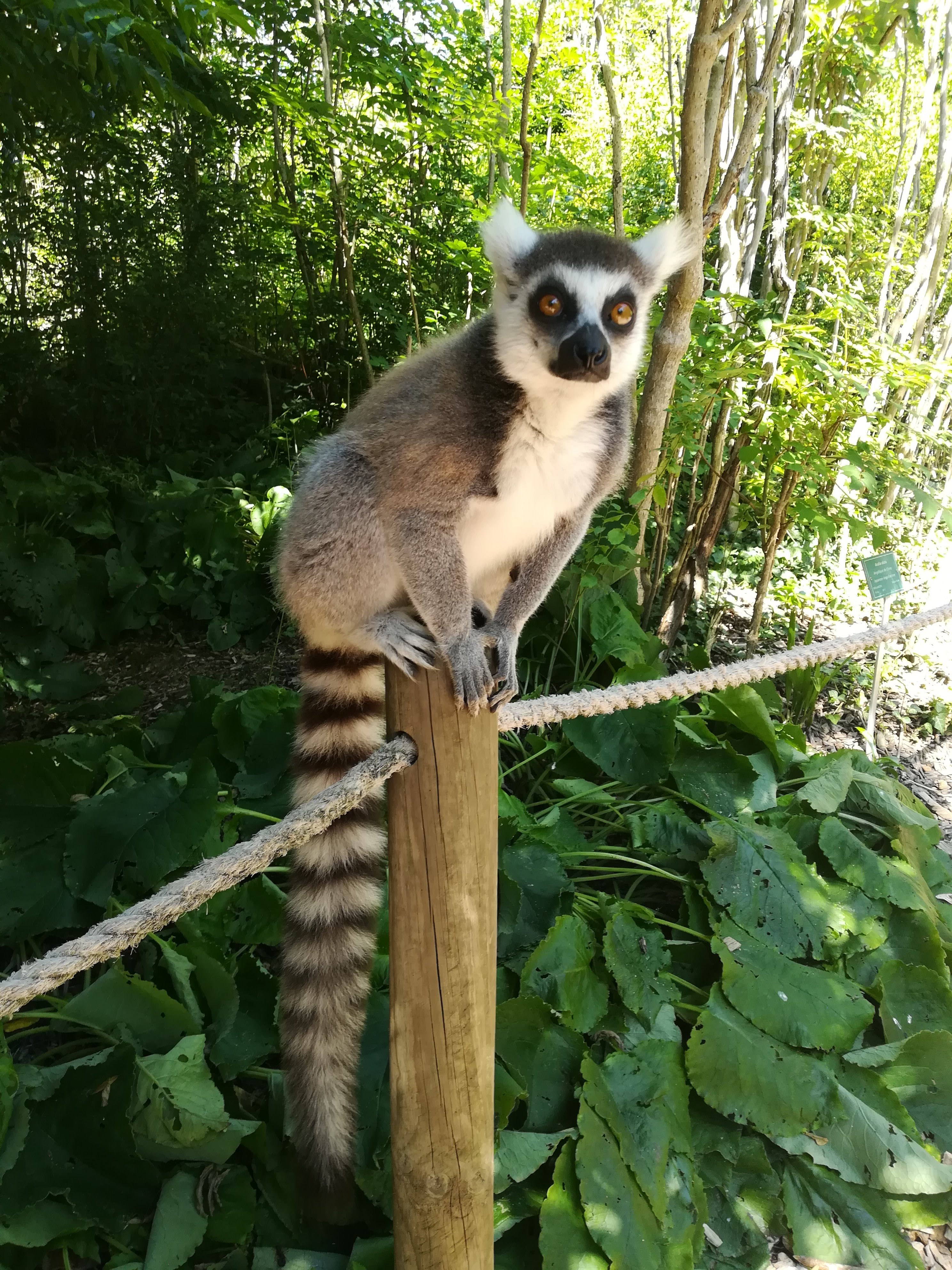 Photo n° 19 de l'avis de missbigsmile. fait le 11/07/2018 à 05:18