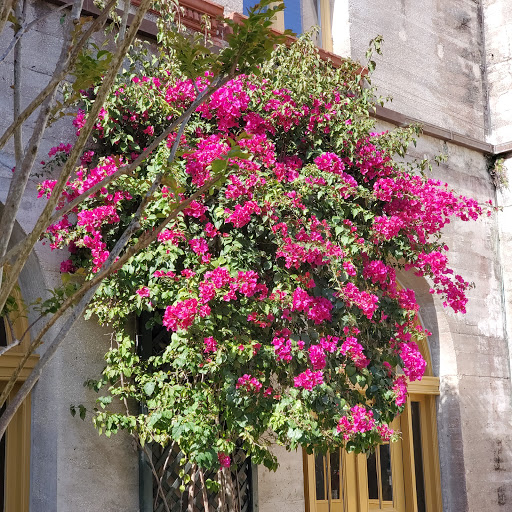 Museum «Lightner Museum», reviews and photos, 75 King St, St Augustine, FL 32084, USA