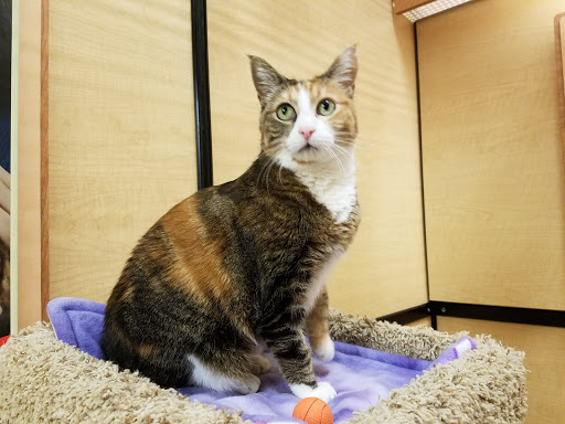 Pet Supply Store «PetSmart», reviews and photos, 1203 N Landing Way, Renton, WA 98057, USA