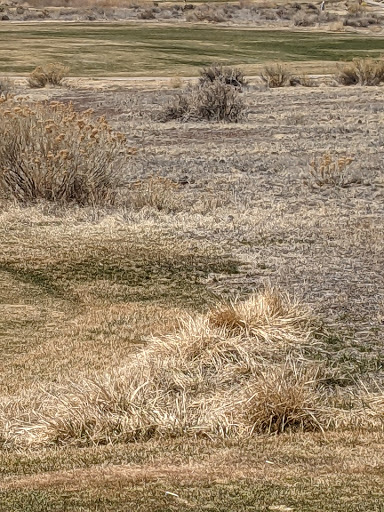 Golf Course «Walking Stick Golf Course», reviews and photos, 4301 Walking Stick Blvd, Pueblo, CO 81001, USA