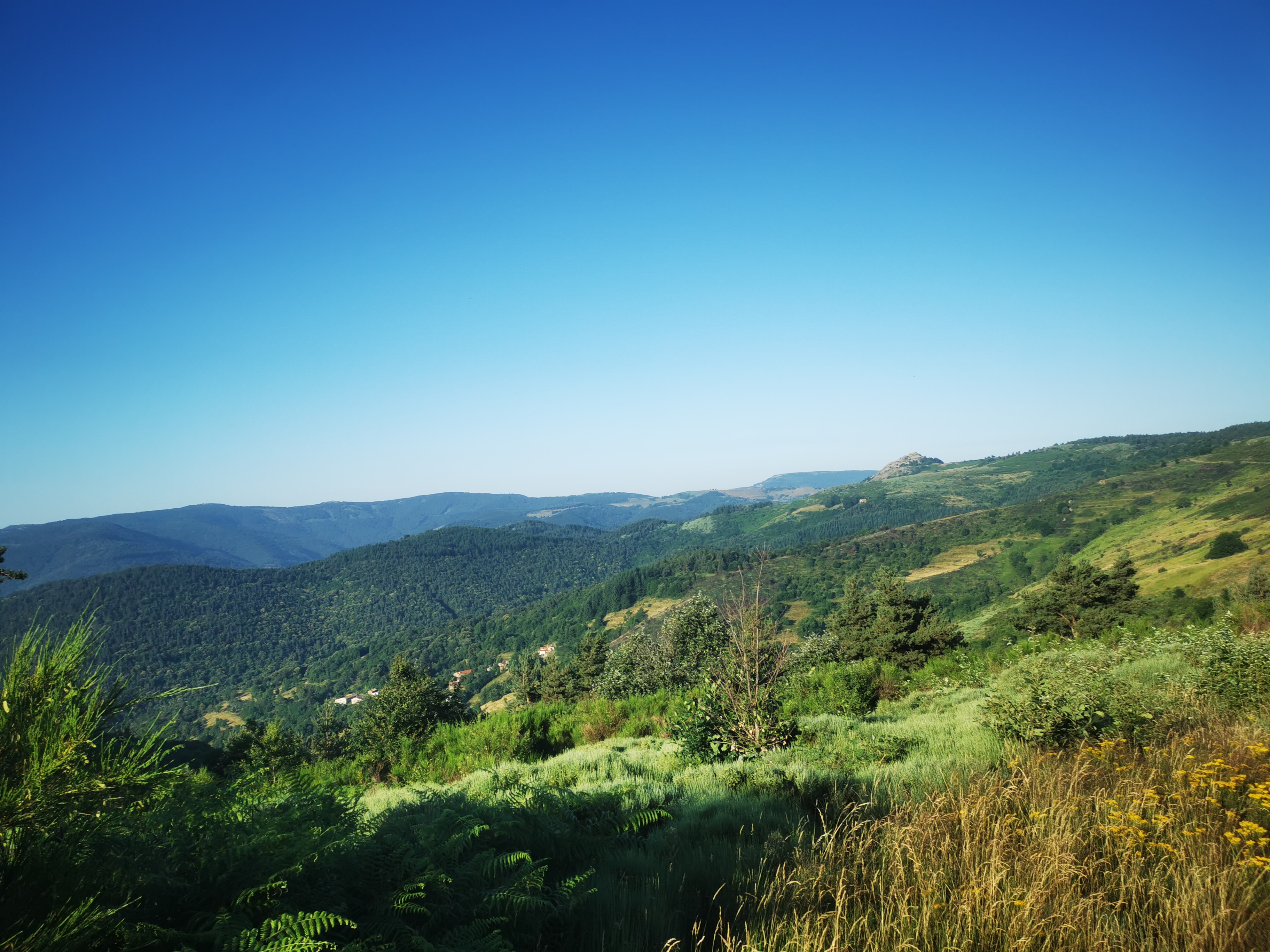 Photo n° 15 de l'avis de Seb. fait le 14/07/2023 à 04:55