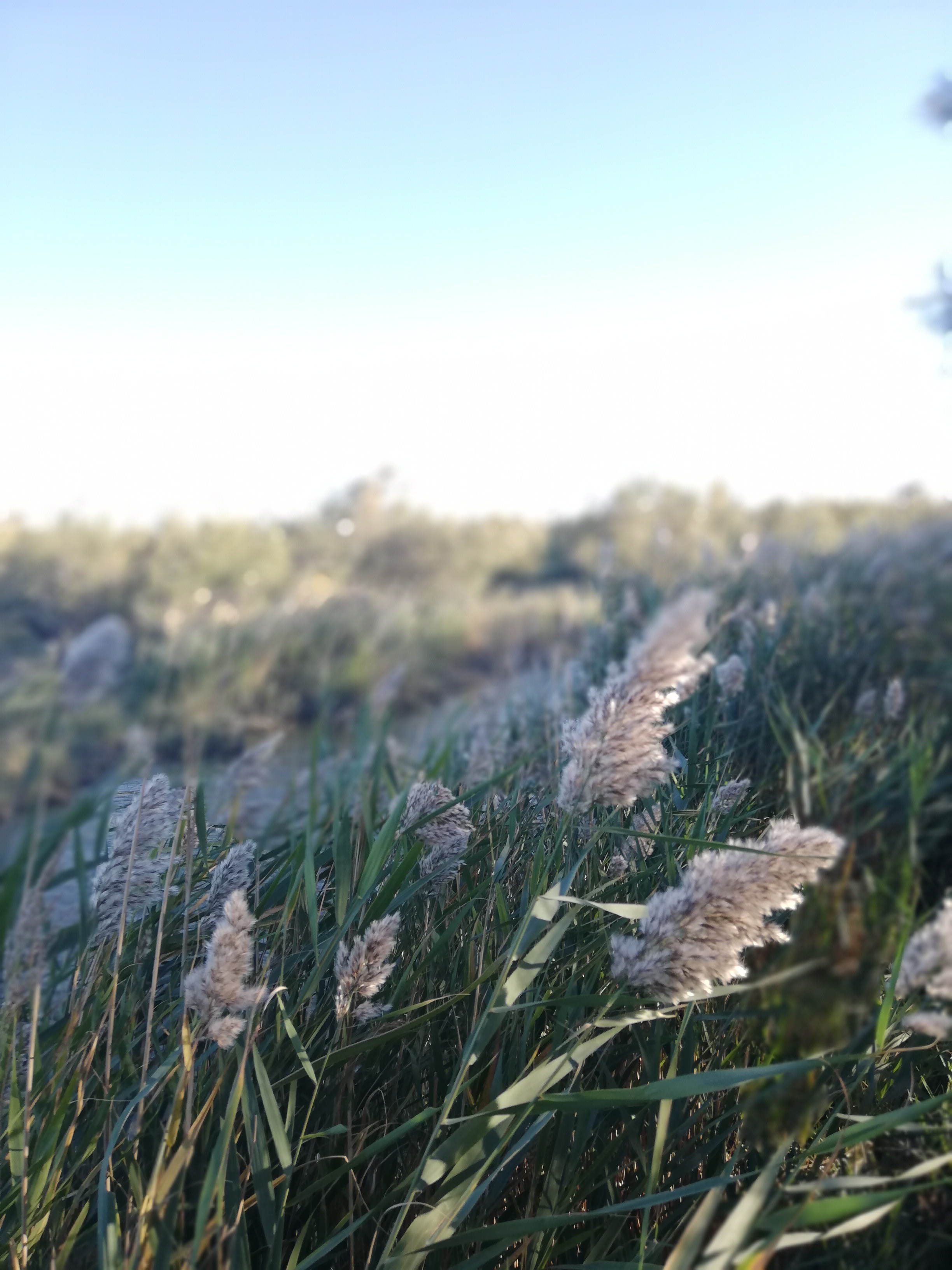 Photo n° 2 de l'avis de Sarah.o fait le 24/10/2018 à 15:20