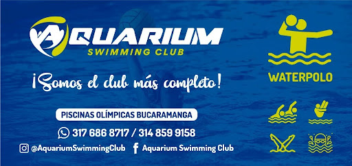 Aquarium Swimming Club