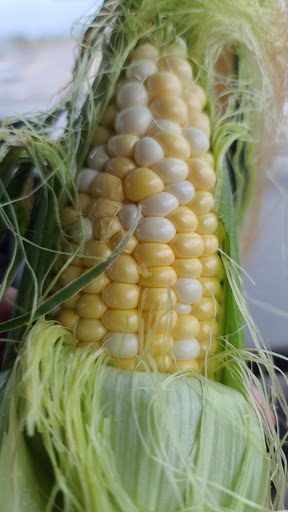 Produce Market «Palizzi Farm», reviews and photos, 15380 E Bromley Ln, Brighton, CO 80601, USA