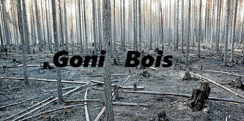 Magasin de bois de chauffage GONI BOIS Livry-sur-Seine