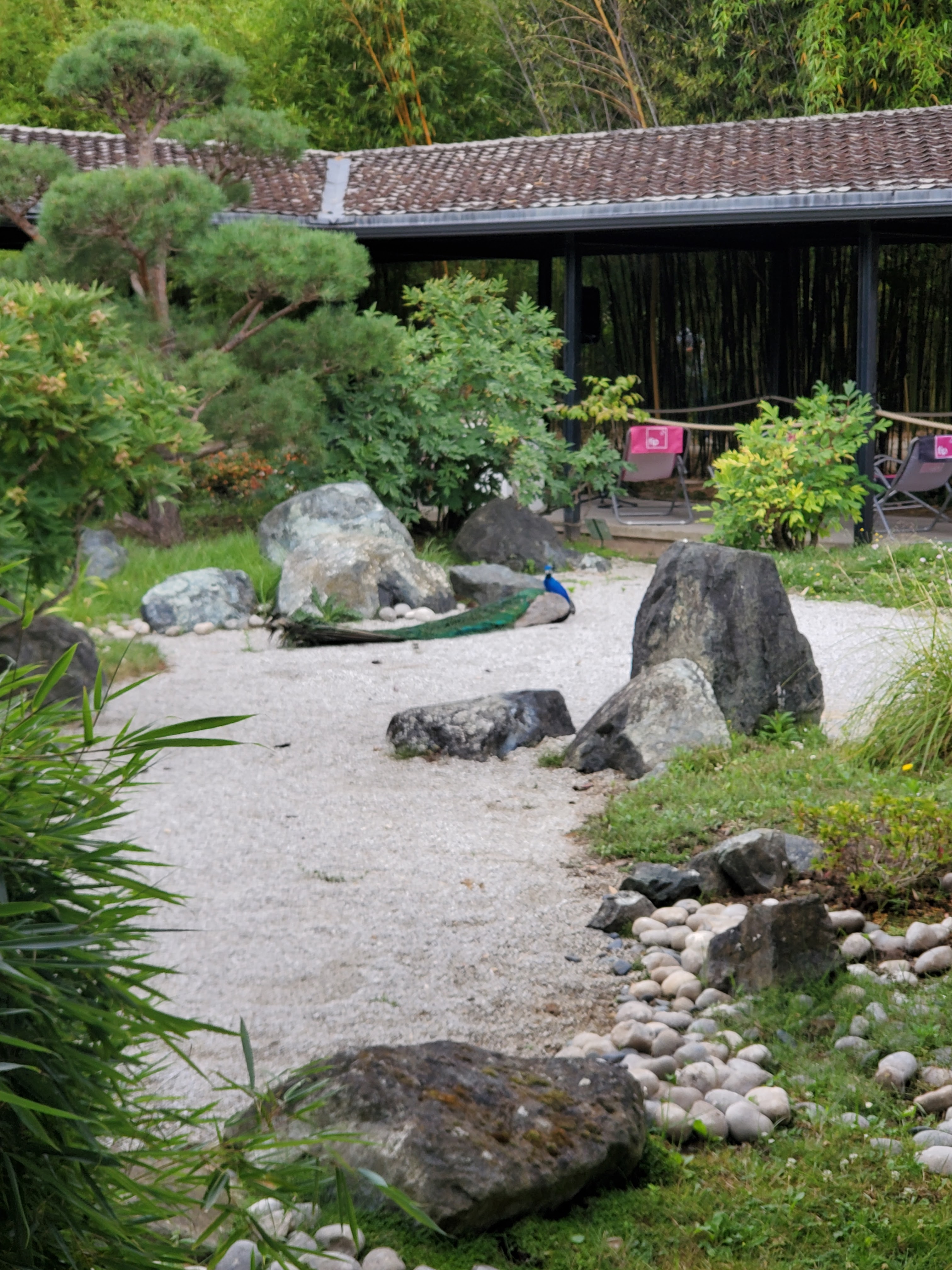 Photo n° 17 de l'avis de Fabienne.a fait le 21/07/2023 à 10:09