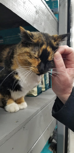 Pet Supply Store «Northside Grange», reviews and photos, 4116 Hamilton Ave, Cincinnati, OH 45223, USA